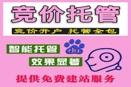 SEM广告创意与执行：成功案例分享